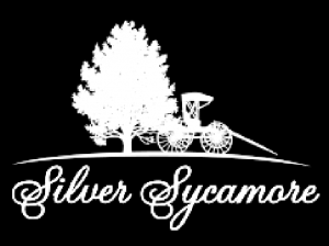 Silver Sycamore